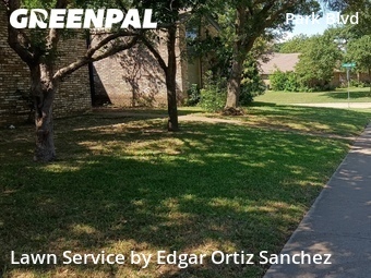 Grass Cuttingin Plano,75075,Lawn Maintenance by Edgar Ortiz Sanchez, work completed in Jun , 2026