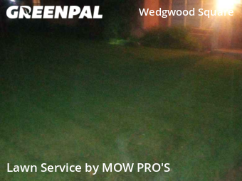 Lawn Cutting nearby Fort Worth, TX, 