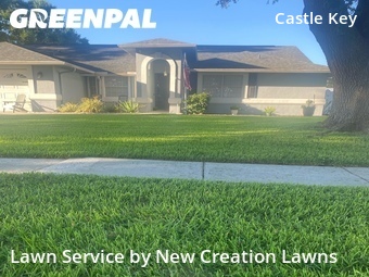 Lawn Care nearby Valrico, FL, 