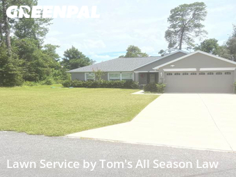 Grass Cutting nearby Spring Hill, FL, 
