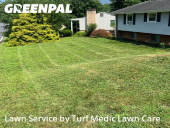 Lawn Mowing nearby Cave Spring, VA, 