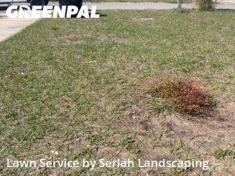Lawn Care Service nearby Orlando, FL, 