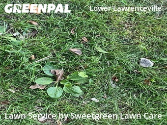 Lawn Mow nearby Pittsburgh, PA, 