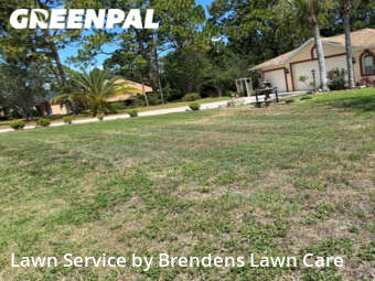 Grass Cut nearby Spring Hill, FL, 