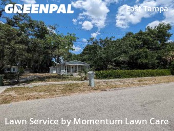 Lawn Mow nearby Tampa, FL, 