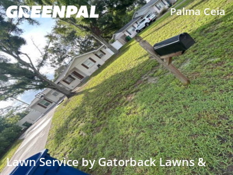 Grass Cutting nearby Tampa, FL, 