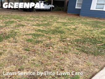 Lawn Care nearby River Oaks, TX, 