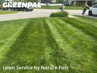 Lawn Mowing Service nearby Fishers, IN, 