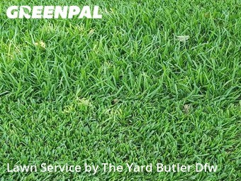Grass Cut nearby Carrollton, TX, 