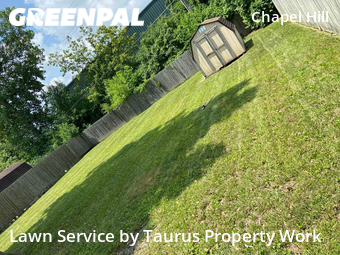 Lawn Cut nearby Indianapolis, IN, 