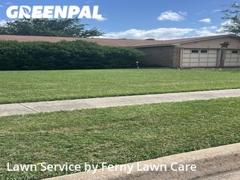 Yard Cutting nearby Saginaw, TX, 