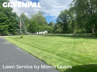 Grass Cut nearby Toledo, OH, 