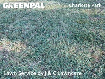 Lawn Mowing nearby Nashville, TN, 
