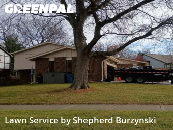 Lawn Cut nearby Downers Grove, IL, 