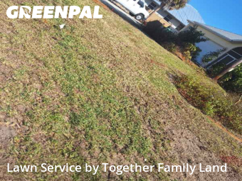 Lawn mowed in Port Charlotte, 33948