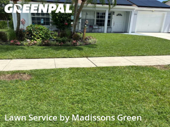 Lawn Mow nearby Lake Worth Beach, FL, 