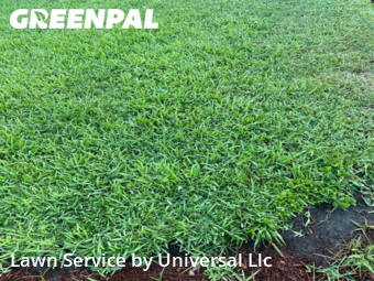 Grass Cut nearby Lauderhill, FL, 