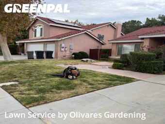 Landscaping Companies In Palmdale,93551,Landscaping Cleanup by Olivares Gardening , work completed in Dec , 2025