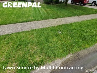 Lawn Care Service nearby Lexington, KY, 