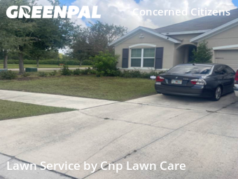Lawn Care in Gibsonton, 33534, Garden Trimming by Cnp Lawn Care, work completed in Nov , 2025
