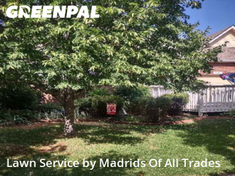 Lawn Maintenance nearby Timnath, CO, 