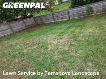 Lawn Mowing Servicein Bolingbrook,60440,Lawn Care Service by Terranova Landscape, work completed in Nov , 2025