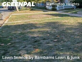 Lawn Cutting nearby Cedar Rapids, IA, 