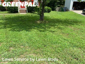 Lawn Care nearby Charlotte, NC, 