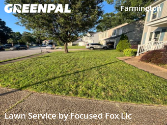 Lawn Mowing nearby Hampton, VA, 