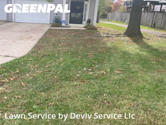 Lawn Service nearby Forestville, MD, 