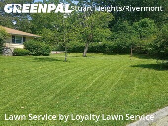 Affordable Landscaping In Chattanooga,37415,Landscape Design by Loyalty Lawn Service, work completed in Jun , 2026