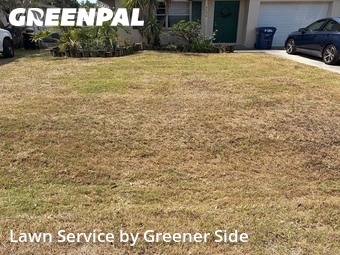 Lawn Service nearby Sarasota, FL, 