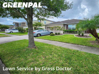 Grass Cutting nearby Orlando, FL, 