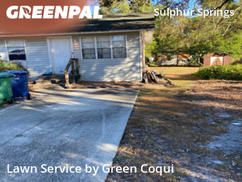 Backyard Landscaping In Tampa,33604,Landscapers by Green Coqui, work completed in Nov , 2025