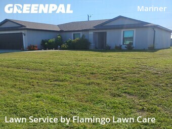 Grass Cut nearby Cape Coral, FL, 