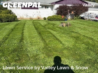 Yard Cutting nearby Syracuse, NY, 