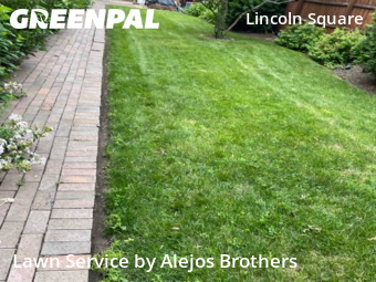 Lawn Service nearby Chicago, IL, 
