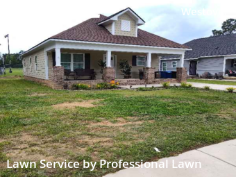 Lawn Mow nearby Fayetteville, NC, 