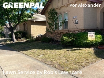 Yard Mowing nearby Gold River, CA, 