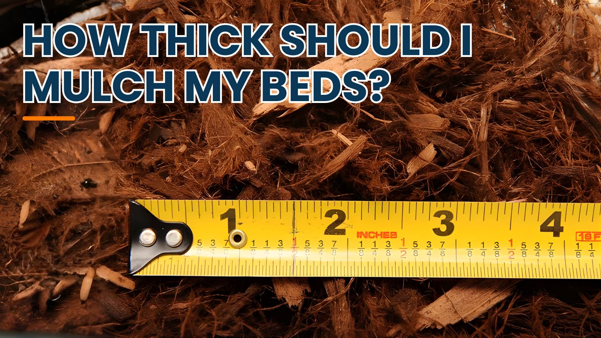 How thick should I mulch my beds? (Mulch Depth 101)