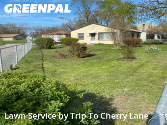 Yard Cutting nearby Robbins, IL, 