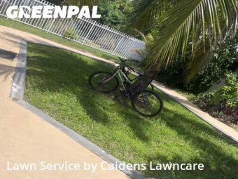 Grass Cut nearby Miami, FL, 