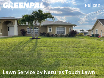 Lawn Care Service nearby Cape Coral, FL, 