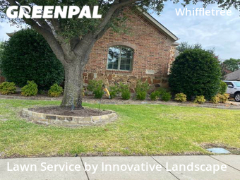 Grass Cut nearby Mc Kinney, TX, 