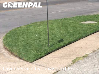 Lawn Maintenance nearby Arlington, TX, 