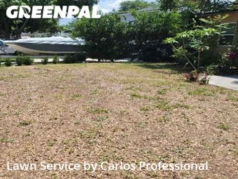 Lawn Care Service nearby St. Petersburg, FL, 