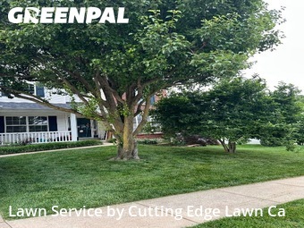 Yard Cutting nearby Saint Charles, MO, 