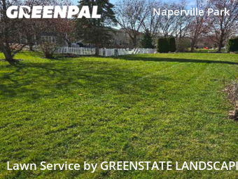 Yard Cutting nearby Naperville, IL, 
