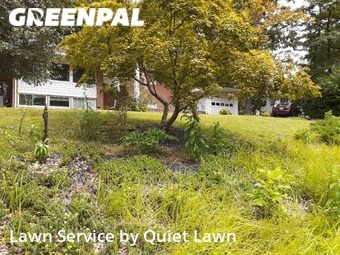 Yard Management in Annandale, 22003, Lawn Mowing by Quickscape , work completed in Nov , 2025