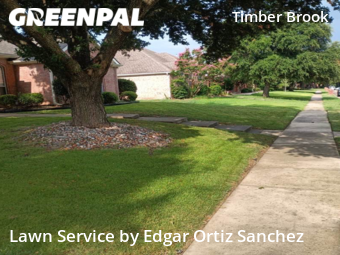 Lawn Mow nearby Plano, TX, 